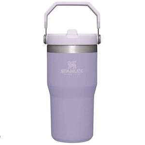 BNWT 20oz Stanley IceFlow Flip Straw Stainless Steel Tumbler -  Lavender